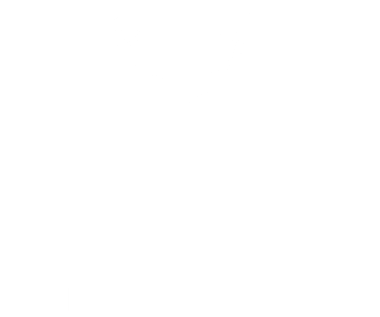 nanovorodeni.com