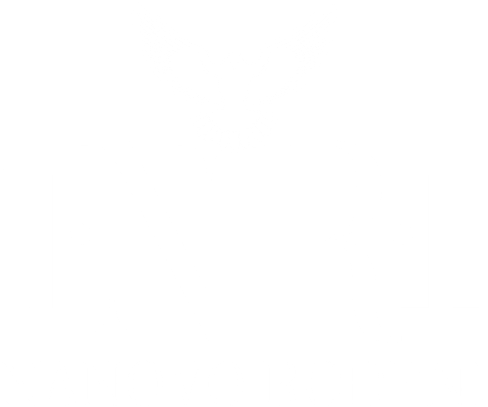 nanovorodeni.com